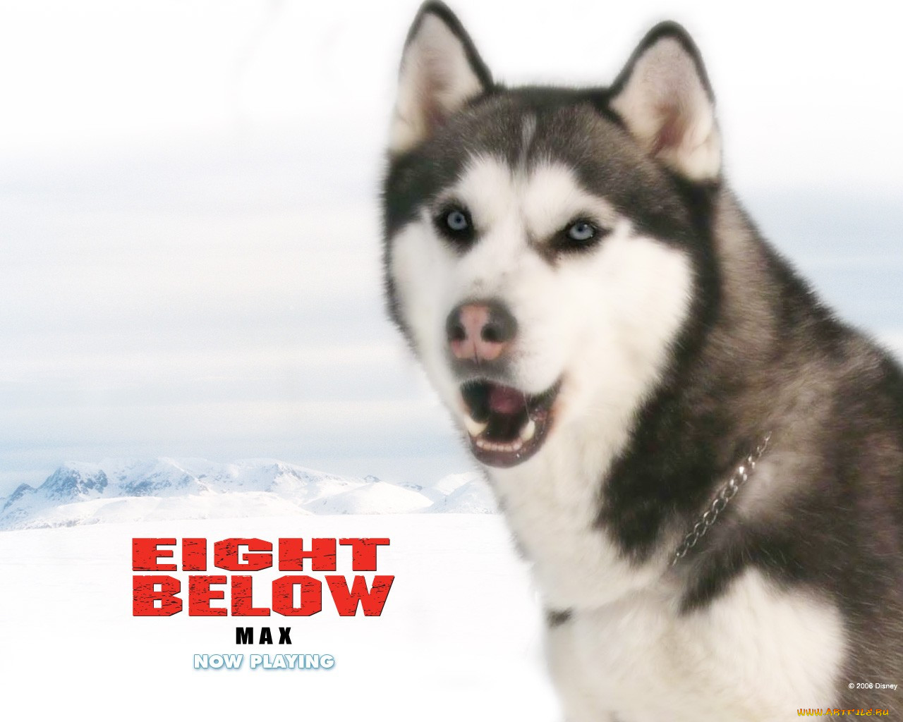 , , eight, below